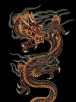 pic for dragon 240X320